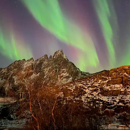 Дом отдыха Fishermans - Lofoten