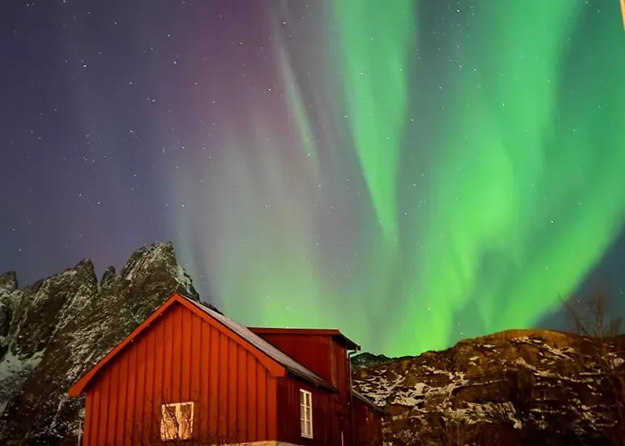 Fishermans - Lofoten Tatil Evi Ballstad