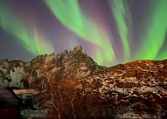 Tatil Evi Fishermans - Lofoten