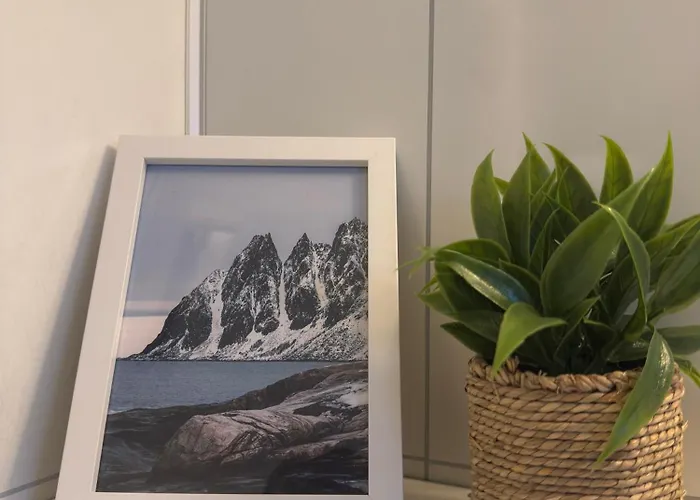 Fishermans - Lofoten Tatil Evi Ballstad